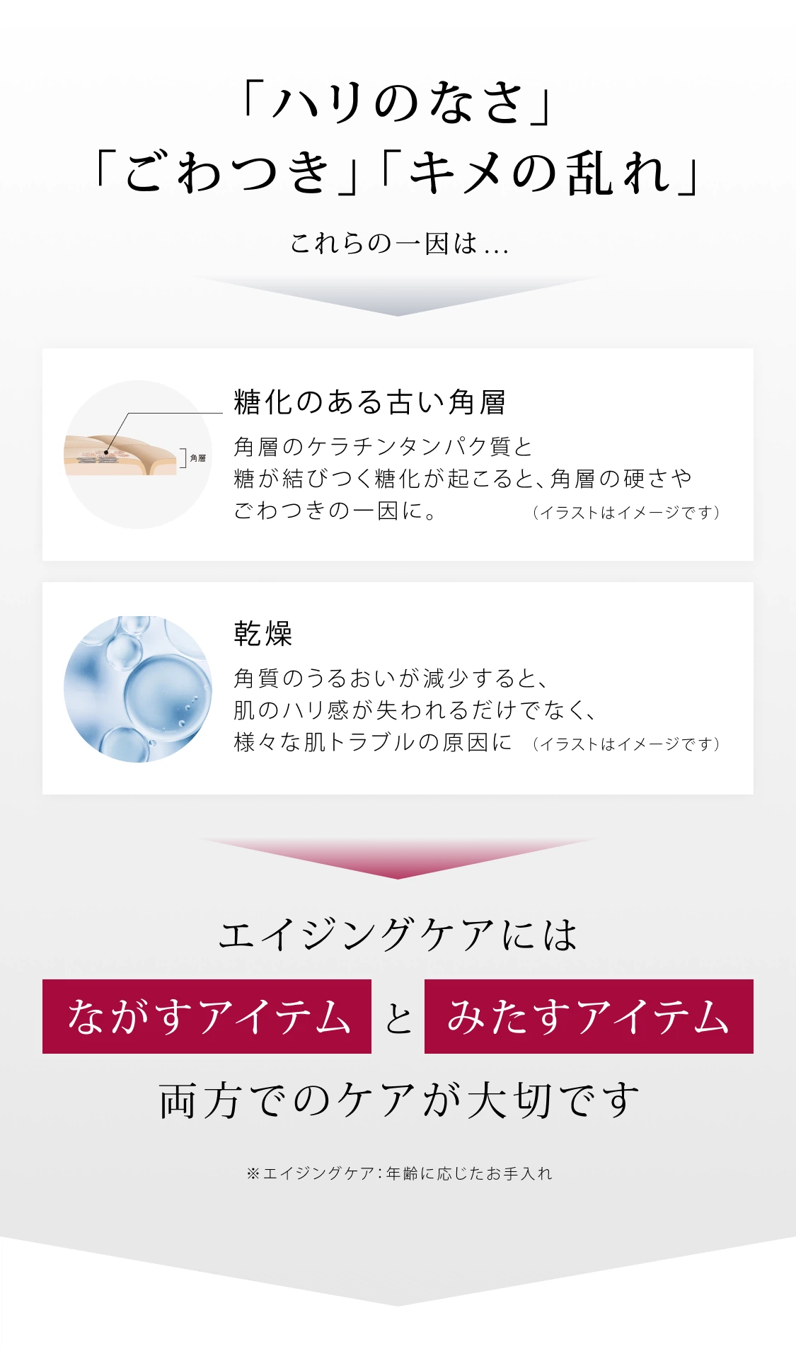 B.A」をラインで2週間体感できるB.A ベーシックセット | ポーラ公式