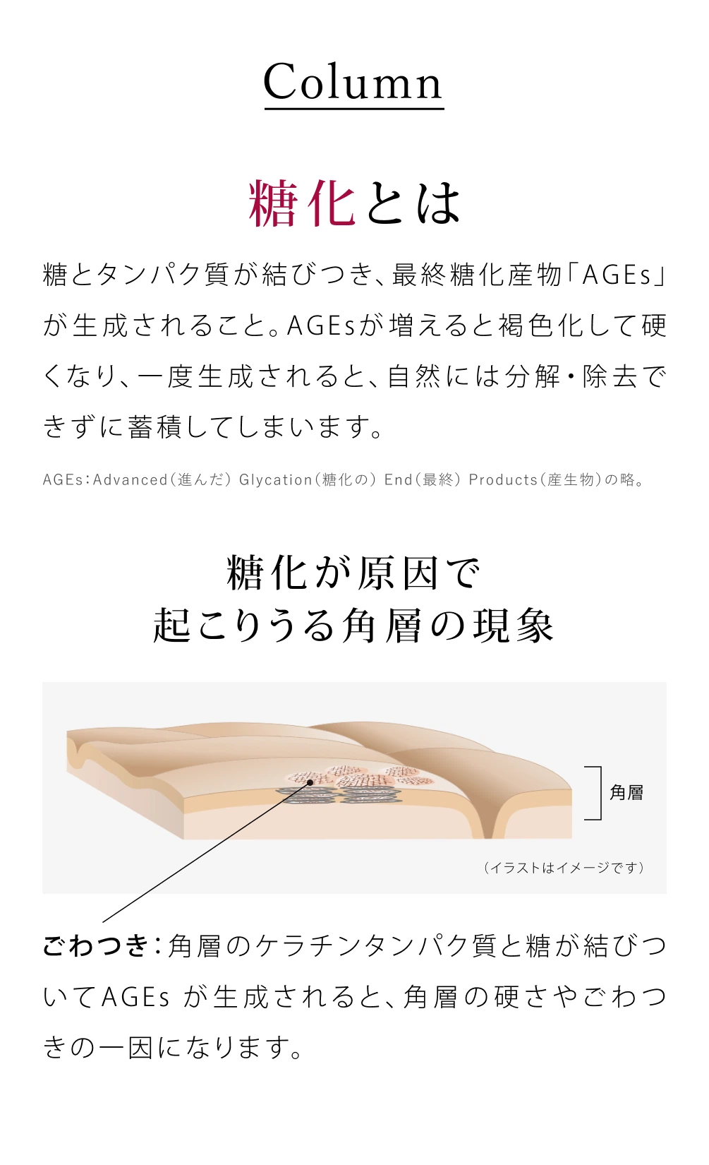 糖化とは 糖とタンパク質が結びつき、最終糖化産物「AGEs」が生成されること。AGEsが増えると褐色化して硬くなり、一度生成されると、自然には分解・除去できずに蓄積してしまいます。糖化が原因で起こりうる角層の現象 ごわつき：角層のケラチンタンパク質と糖が結びついてAGEsが生成されると、角層の硬さやごわつきの一因になります。