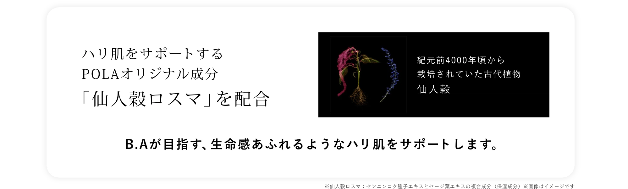 B.Aが目指す、生命感あふれるようなハリ肌をサポートします。 