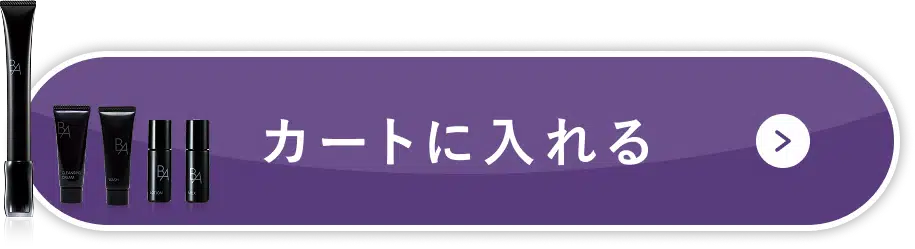 カートに入れる