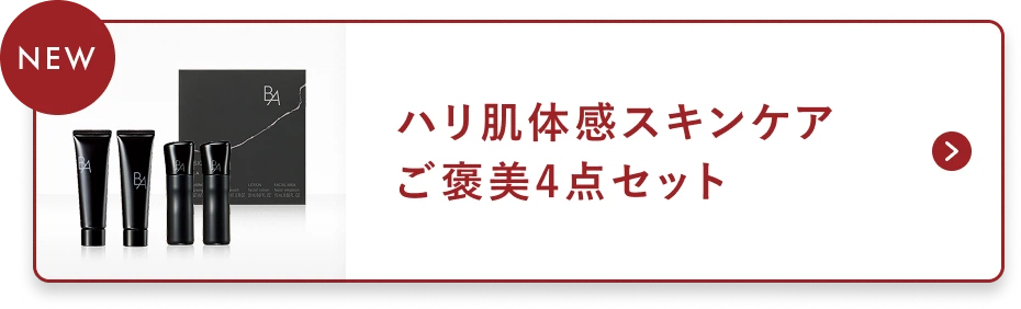 ベーシックセット