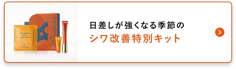 日差しが強くなる季節のシワ改善特別キット