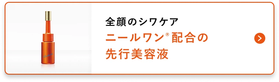 全顔のシワケアニールワン®配合の先行美容液