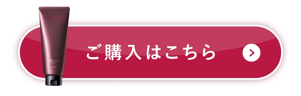 ご購入はこちら