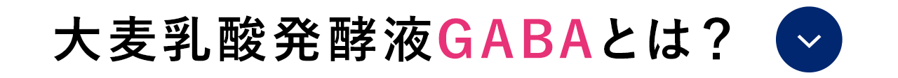 大麦乳酸発酵液GABAとは？