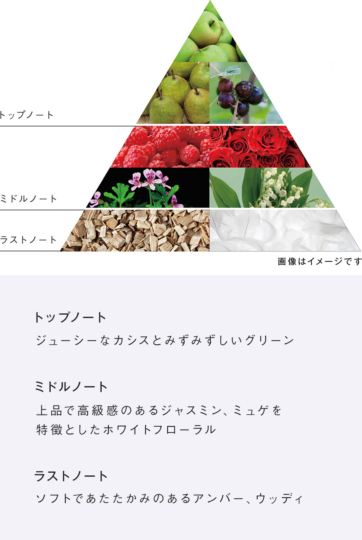 五感に響くような、香りとテクスチャーのイメージ写真