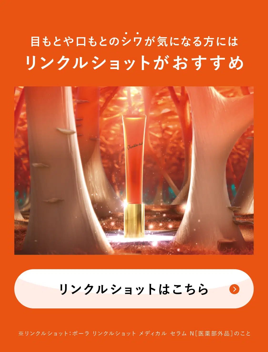 リンクルショットはこちら