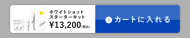 カートに入れる
