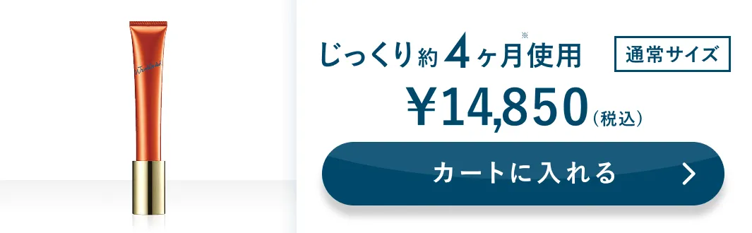 じっくり約4ヶ月使用 通常サイズ 詳細はこちら