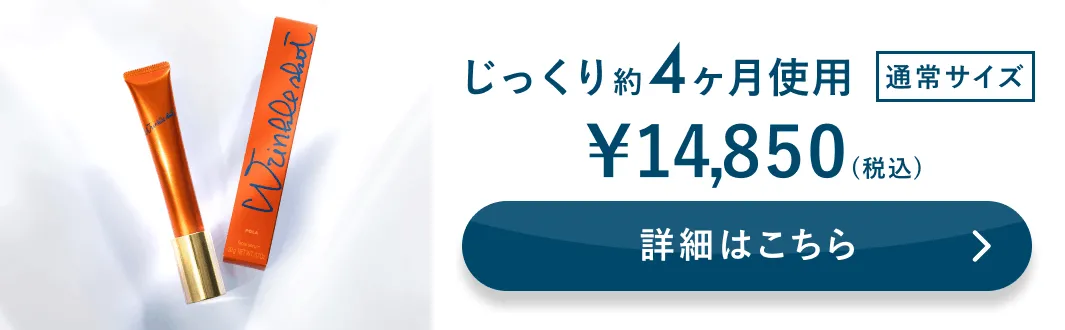 じっくり約4ヶ月使用 通常サイズ 詳細はこちら