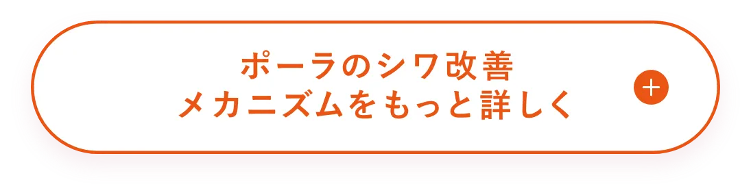 ポーラのシワ改善メカニズムをもっと詳しく