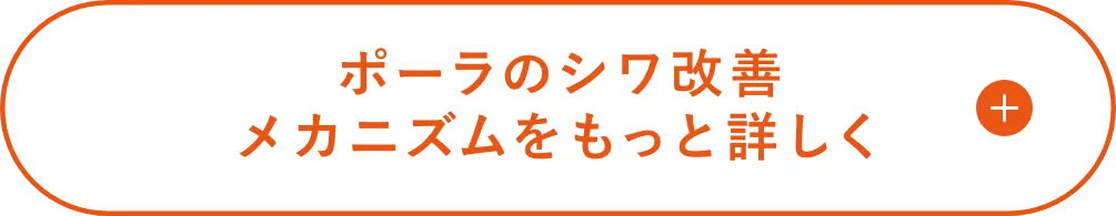 ポーラのシワ改善メカニズムをもっと詳しく