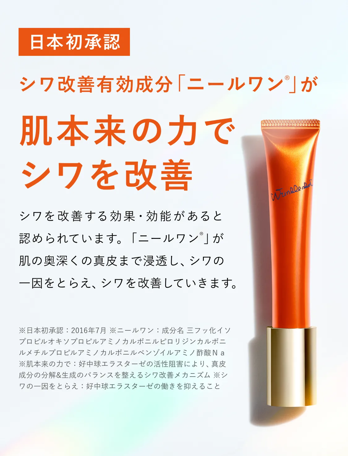 
        日本初承認 シワ改善有効成分「ニールワン 」が肌本来の力でシワを改善