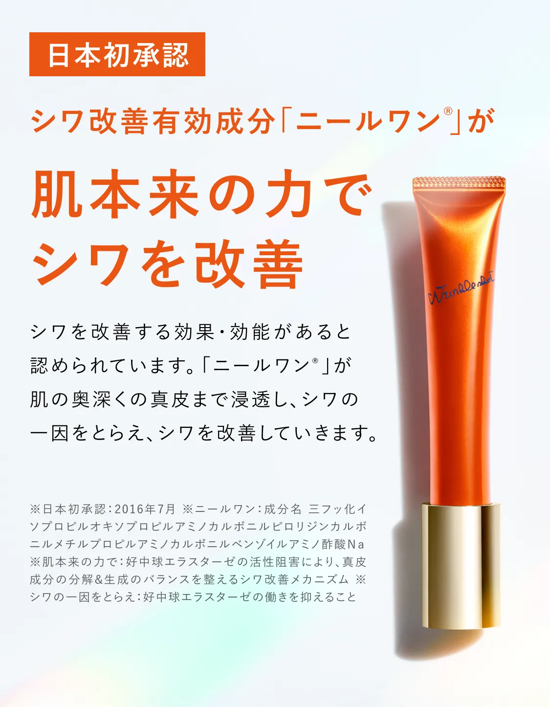 
        日本初承認 シワ改善有効成分「ニールワン®」が肌本来の力でシワを改善