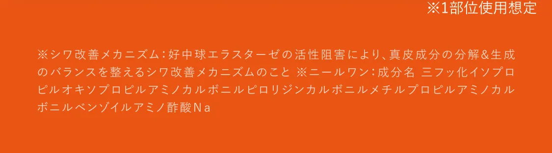 ※1部位使用想定