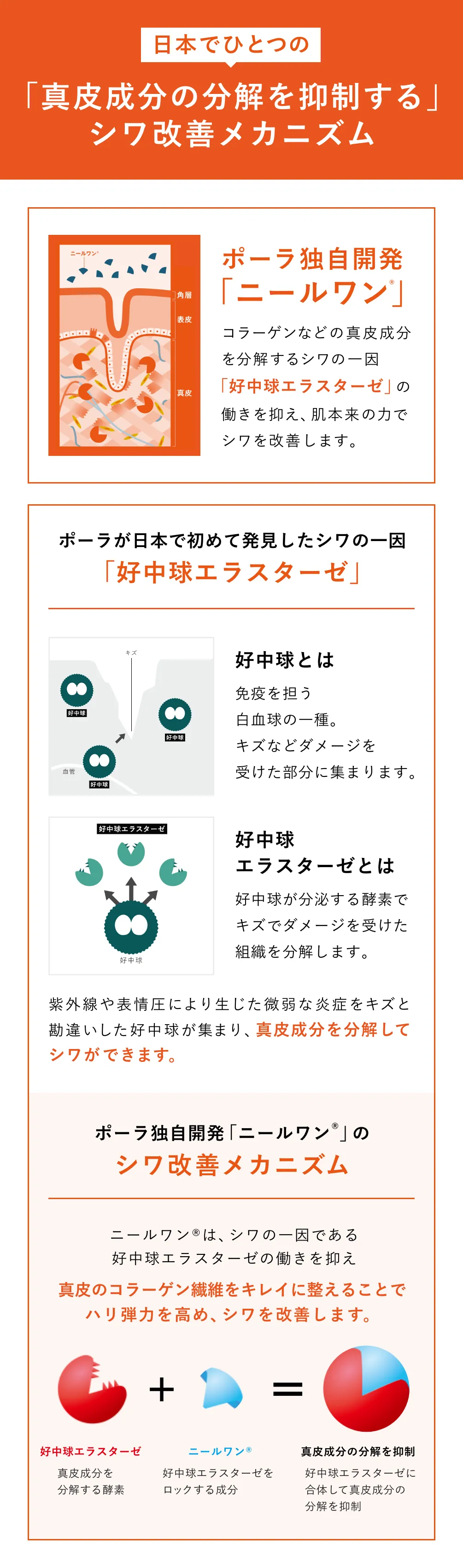 
            ＜プレゼント品について＞
            ※リンクルショット メディカル セラム N (ミニサイズ)、B.A アイゾーンクリーム N (1回分)、ホワイトショット SXS N (1回分)は、初めての方限定キャンペーンのプレゼント品です。
            ＜初めてご購入されるお客さま限定キャンペーン＞
            ※お一人様一回限りとなります。なお、一度に複数個ご購入された場合もプレゼントは1セットのみのお届けとなります。
            ※ポーラ公式オンラインストアで、過去にご注文履歴のあるお客様は対象外となります。
            