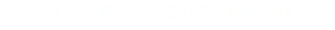 今だけ選べる2種のキット発売中