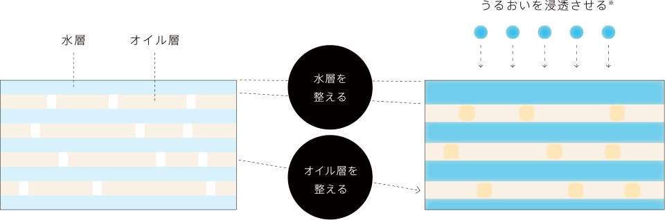 水層を整える オイル層を整える うるおいを浸透させる