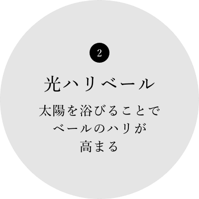 2 光ハリベール 太陽を浴びることでベールのハリが高まる