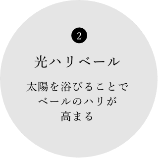 2 光ハリベール 太陽を浴びることでベールのハリが高まる
