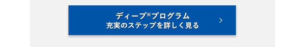 ディーププログラム充実のステップを詳しく見る
