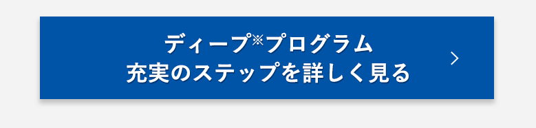 ディーププログラム充実のステップを詳しく見る