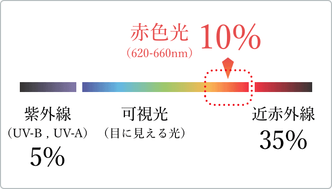 太陽を浴びる前の肌が一番良い状態