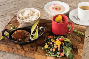 LIMITED LUNCH SET