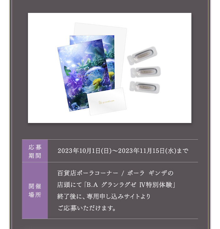 応募期間